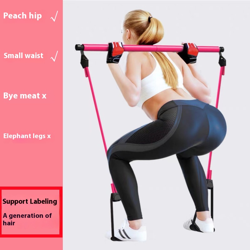 Pilates Stick - Adjustable Fit - đánh giá và giá Pilates Toning Ball